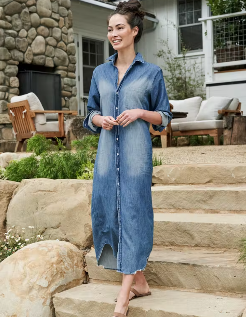 Indigo Denim Rory Dress