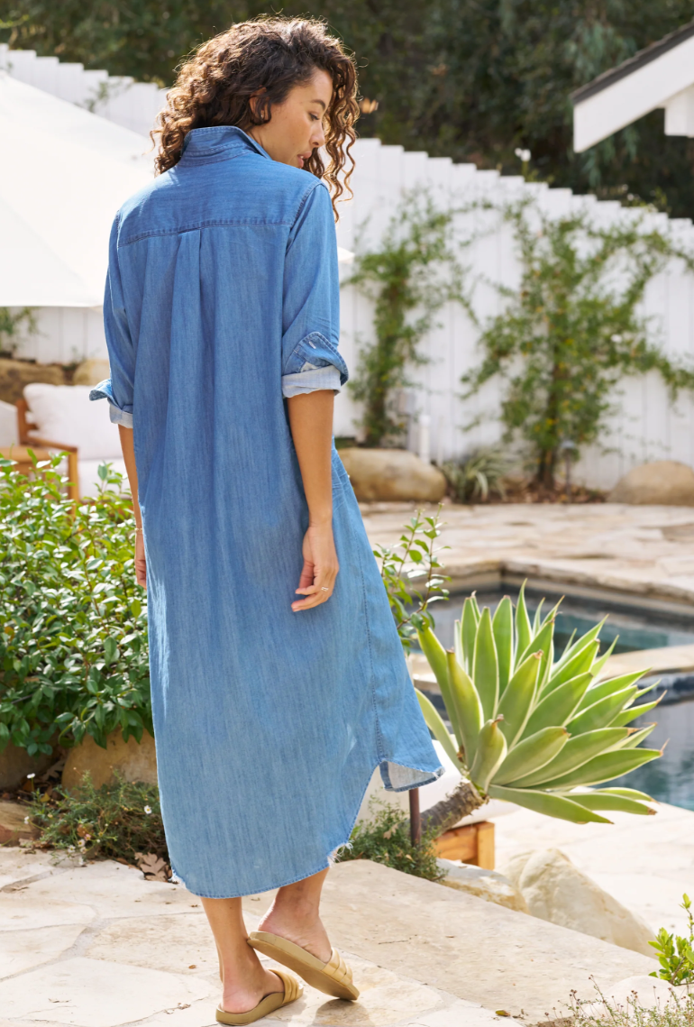 Indigo Denim Rory Dress