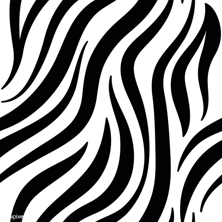 zebra-brahma.jpg