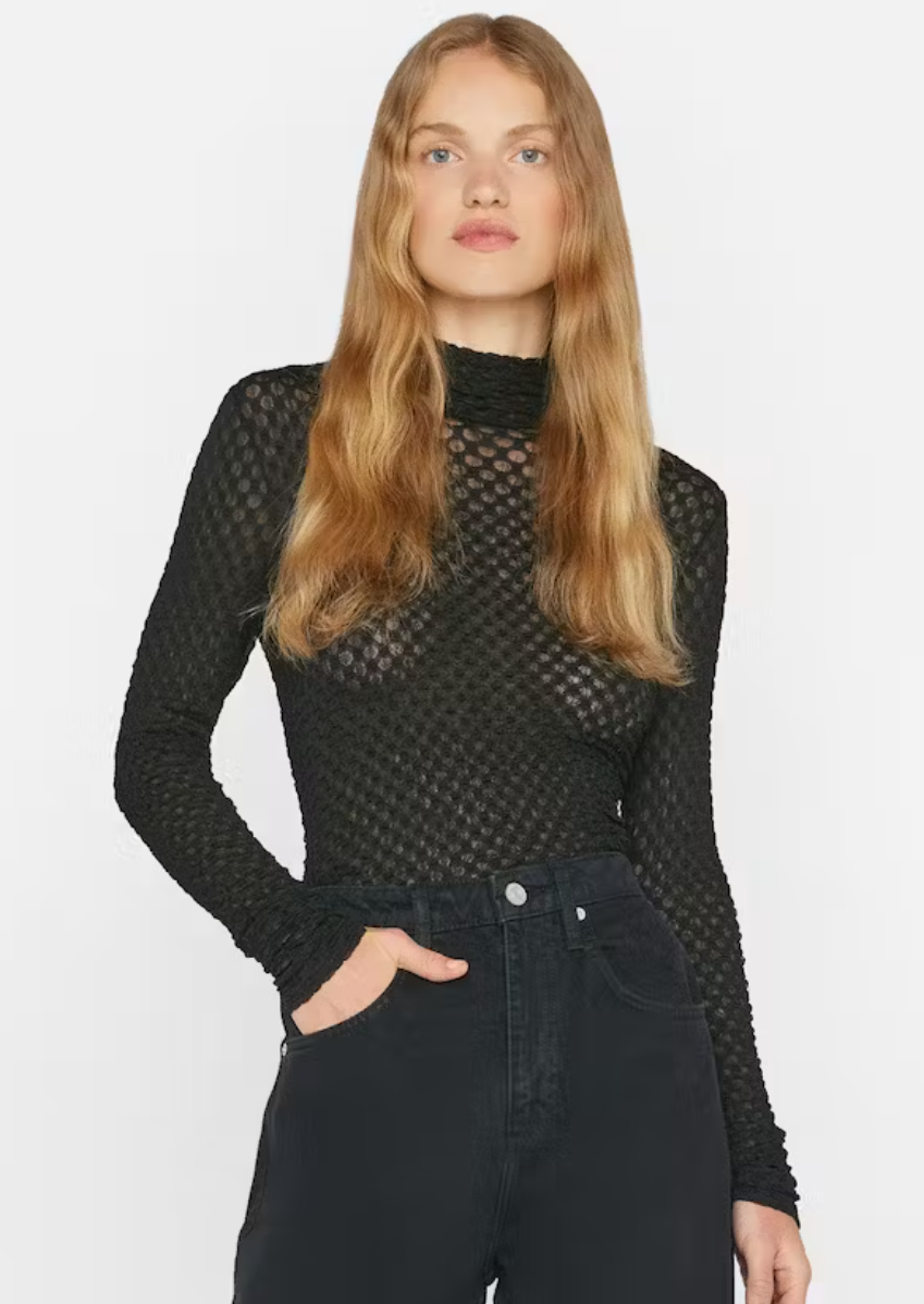 Mesh Lace Turtleneck