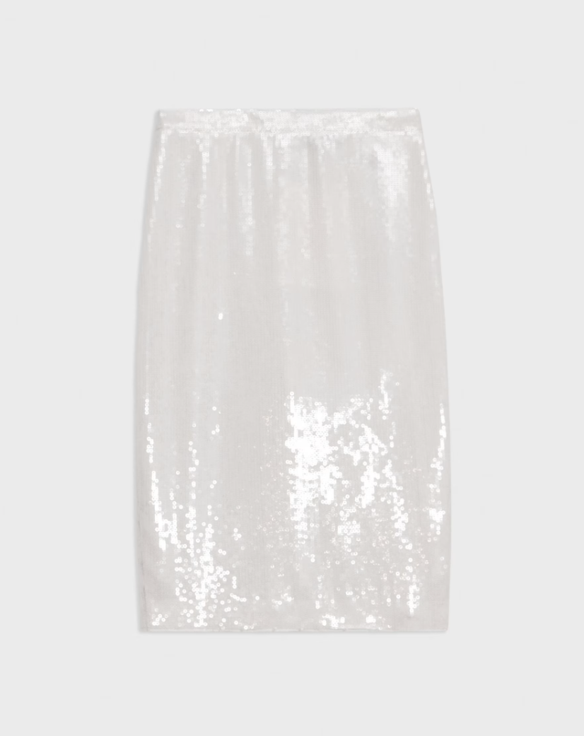 Slim Fit Sequin Skirt