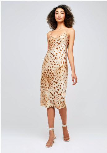 animal print slip dress denver co 