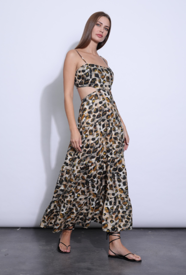 Karina Grimaldi Kos Print Maxi Dress
